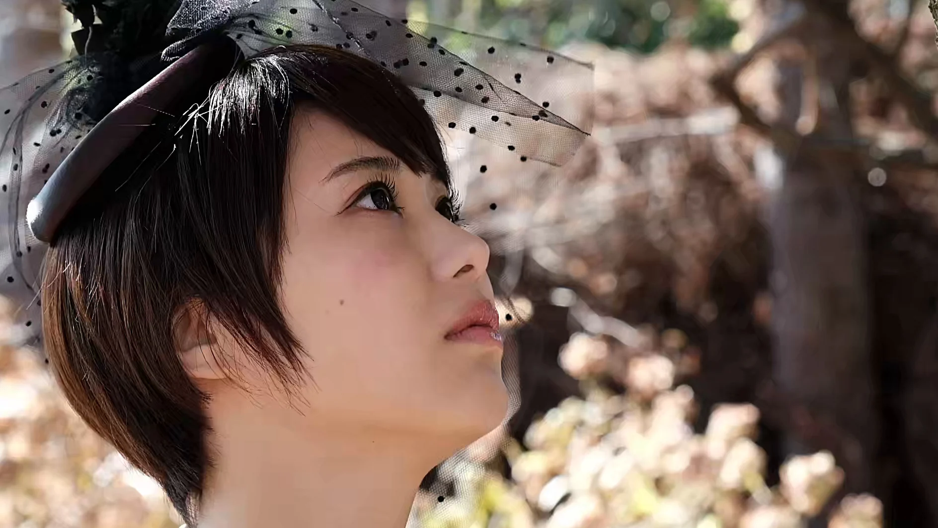 ショートカットちゃん 山本ゆう サンプル画像