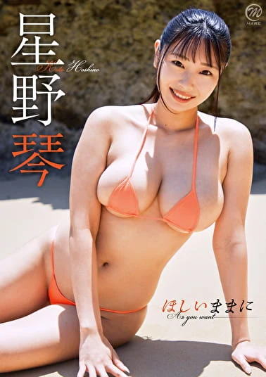 ほしいままに 星野琴